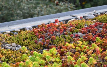 the cost of Mosterton green roof installation