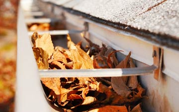 Mosterton gutter cleaning companies