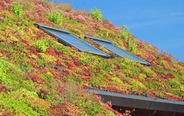 Mosterton living roof systems