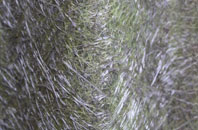 Mosterton fibreglass roof work